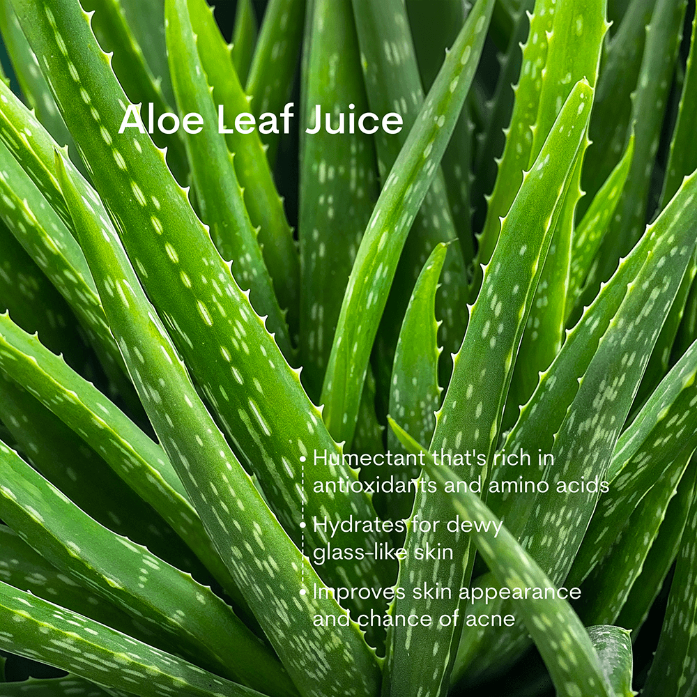 Foaming Oil Cleanser